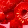EOS Pomegranate Raspberry Body Lotion